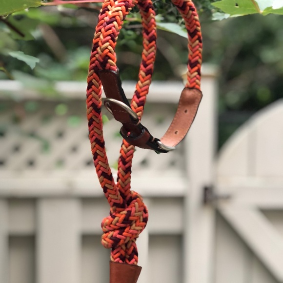 ⭐️Host Pick⭐️ Zara Multi-Coloured Braided Leash and Collar - Picture 12 of 12